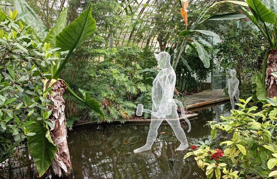 Daniela capaccioli jardin les serres d'Auteuil
