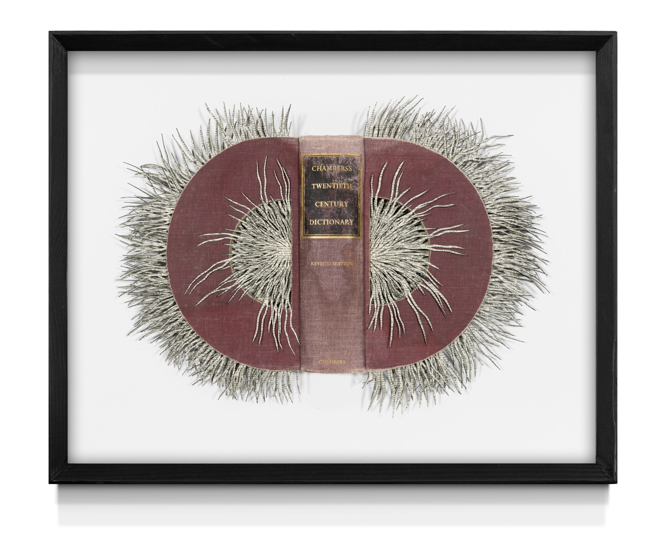 WILDENBOER Barbara  ChambersTwentiethCentury-Dictionary_30x35x35cm_Livre-modifie_2024-art lag
