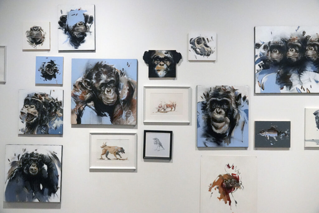 Wall installation by Thibault Jandot at Les Ateliers de la Morinerie, Saint-Pierre-des-Corps. A series of animal portraits depicting expressive chimpanzees in blue and earthy tones, blending urban energy with instinctive brushwork.