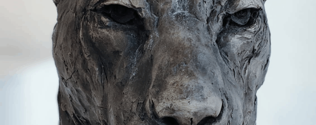 Sculpture animalière de Régis Sinoquet — buste de panthère en céramique, modelé nerveux, vue frontale.