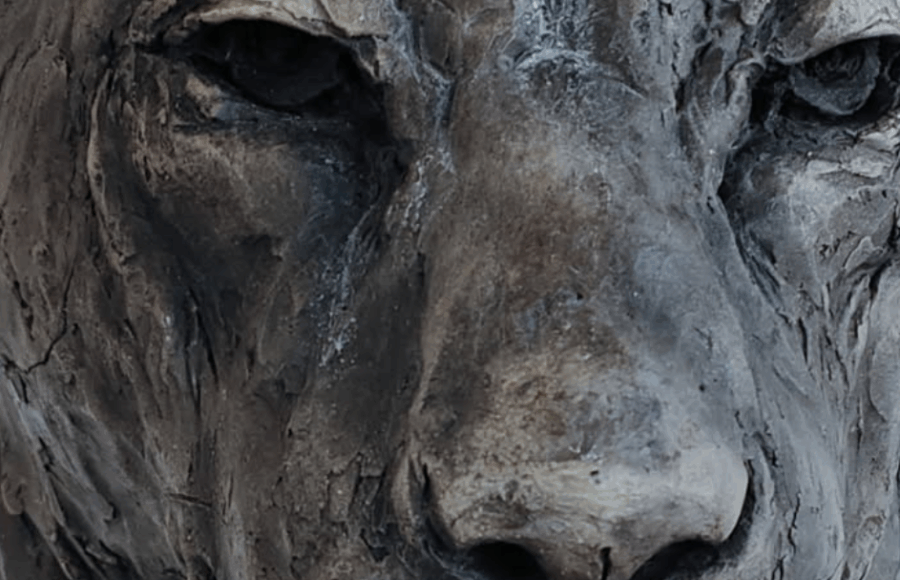 Sculpture animalière de Régis Sinoquet — buste de panthère en céramique, modelé nerveux, vue frontale.