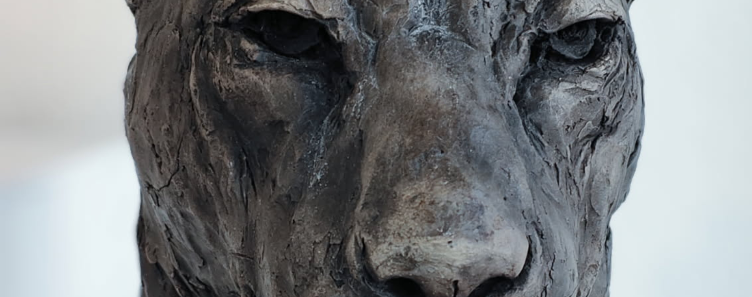 Sculpture animalière de Régis Sinoquet — buste de panthère en céramique, modelé nerveux, vue frontale.