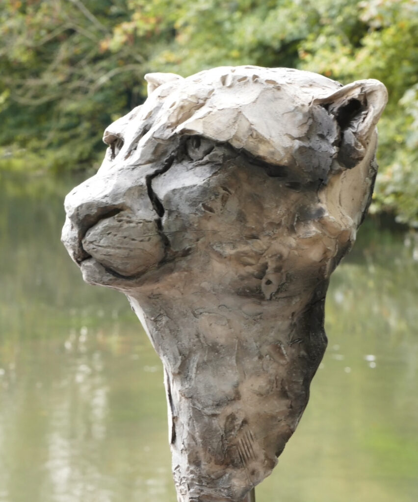 Sculpture animalière de Régis Sinoquet — tête de guépard en céramique, texture expressive, bord de rivière.