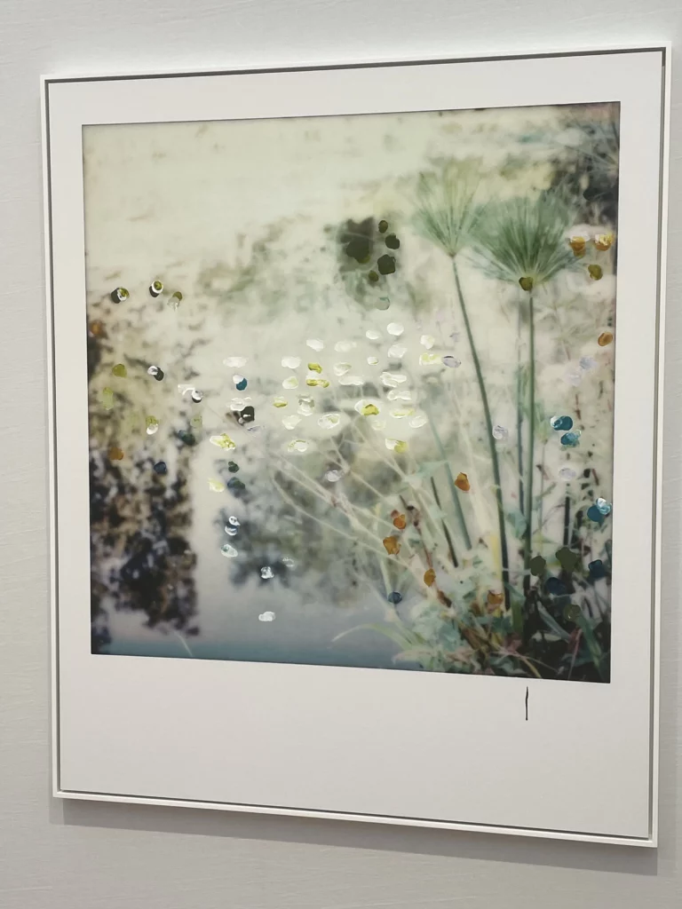 Photograph by François Alary exhibited by Ruttkowski;68 at Paris Photo 2025, blending a soft-focus Polaroid with colorful oil strokes inspired by the gardens of Giverny. Art Mag Magazine