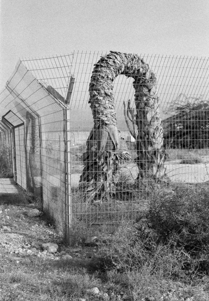 Photographie Pont Allenby 2 (2016) de Sophie Ristelhueber – paysage frontalier chargé d’histoire, réflexion sur la guerre et la trace humaine, présentée par la Galerie Poggiali.