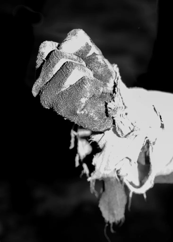 Main gantée fortement usée photographiée en gros plan par Marie Quéau au Campus Univers Cascades, image de la série FURY sur les états-limites du corps et l’entraînement des cascadeurs. publié par Art Mag